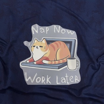 Термотрансфер КОТИК НА НОУТБУКЕ