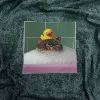 Термотрансфер КОТ С УТКОЙ