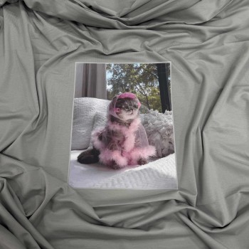 Термотрансфер КОШКА В БИГУДЯХ