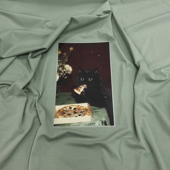 Термотрансфер КОШКА С ПИЦЦЕЙ