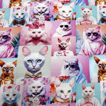 Кулирная гладь КОТОГЛЯНЕЦ