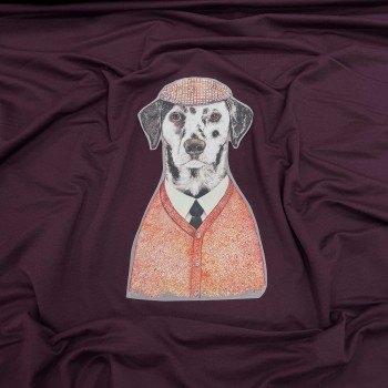 Термотрансфер ДОЛМАТИНЕЦ В КАРДИГАНЕ