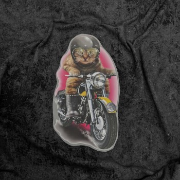 Термотрансфер КОТ НА БАЙКЕ