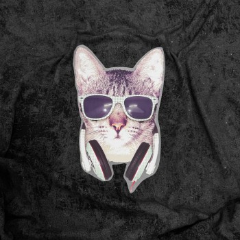 Термотрансфер КОТ В ЗЕЛЕНЫХ ОЧКАХ