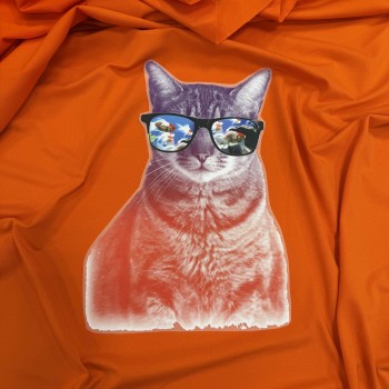 Термотрансфер КОТ В ОЧКАХ РЫБЫ