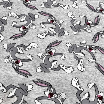 Кулирная гладь ЛУИ ТЮНЗ НА ЛОЖНОМ МЕЛАНЖЕ