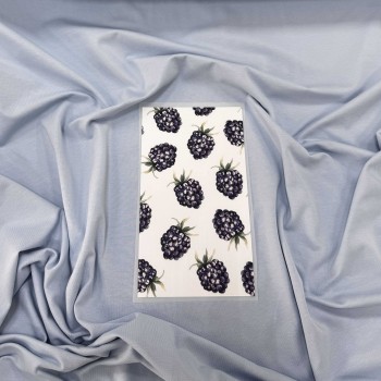 Термотрансфер ЕЖЕВИКА НА БЕЛОМ